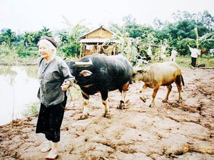 Nghệ sĩ Thu An về cõi vĩnh hằng